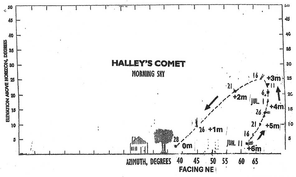 Comet Halley 2061 3