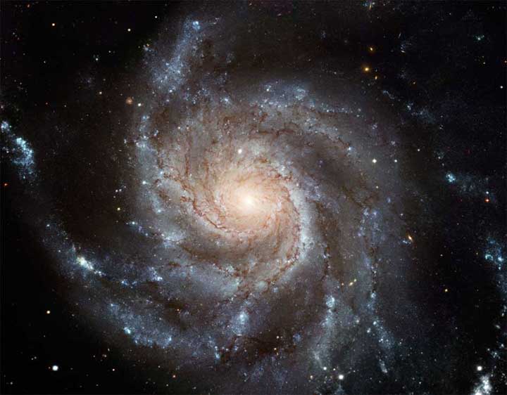 UMa 6 M101
