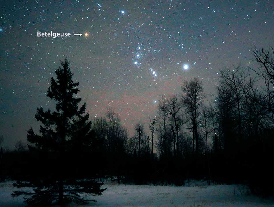 What Up With Betelgeuse 1