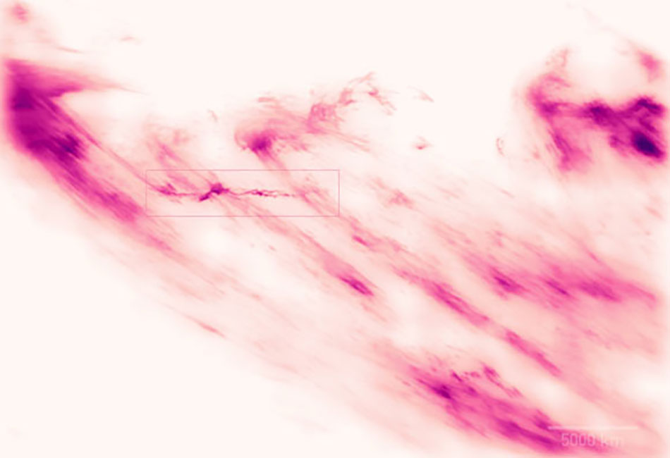 Detailed Images and Videos Yet of Sun Corona